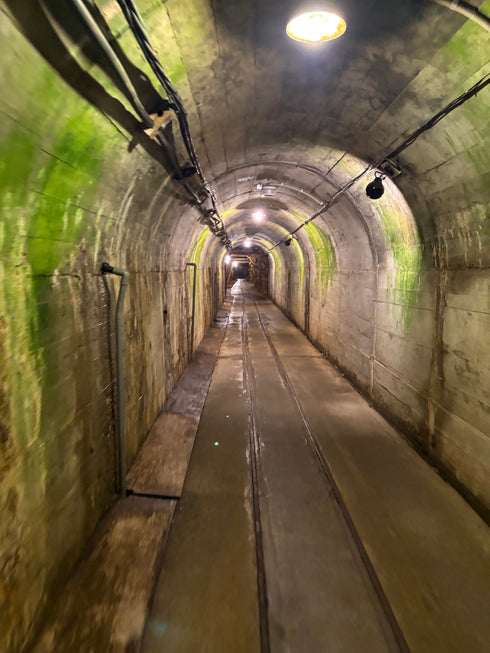 5年に一度しか味わえない千歳盛 坑道熟成酒 5年熟成